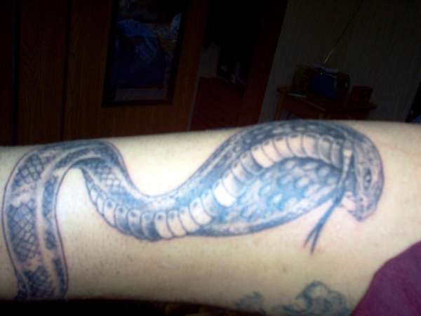 cobra tattoo