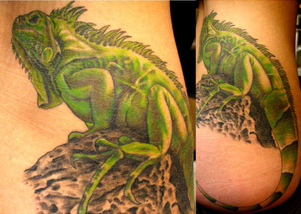 iguana tattoo