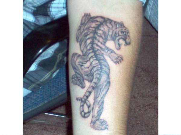 tiger tattoo