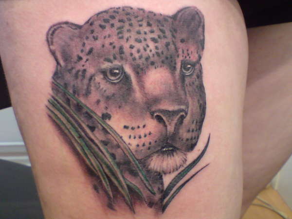 Leopard tattoo