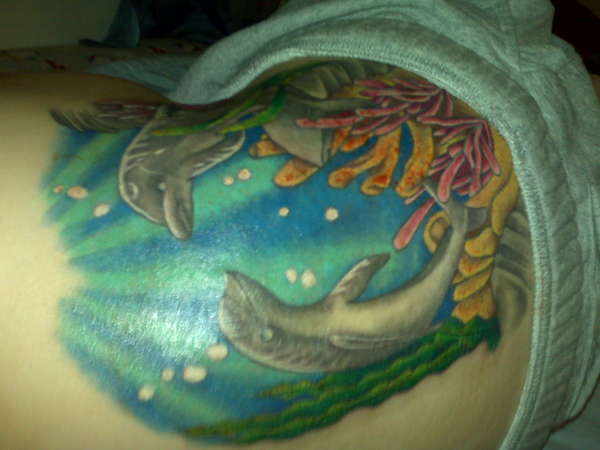 my dolphins tattoo