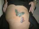 Butterfly Tattoo Stage One tattoo