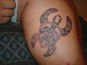 turtle tattoo