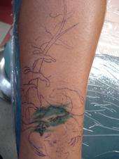 Dolphin Cover up tattoo
