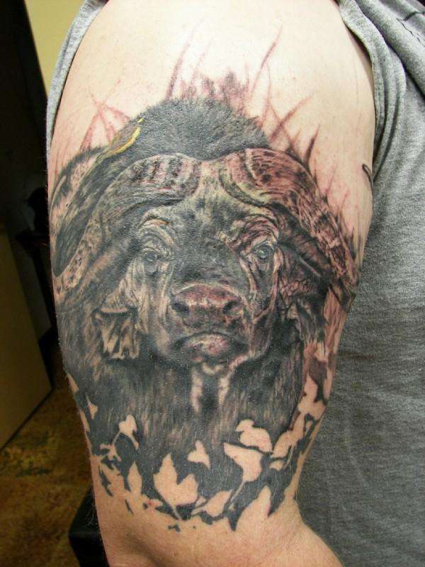 cape buffalo tattoo