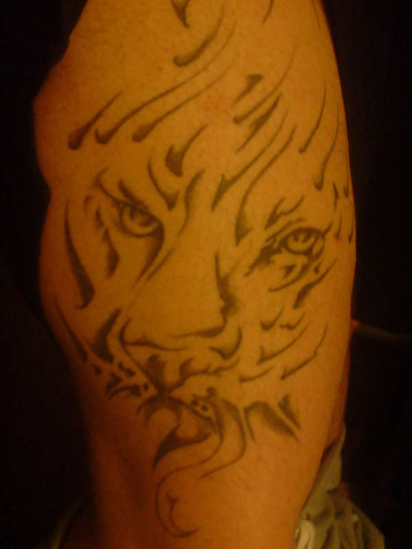 tribal tiger tattoo