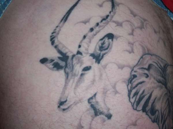 Antelop tattoo