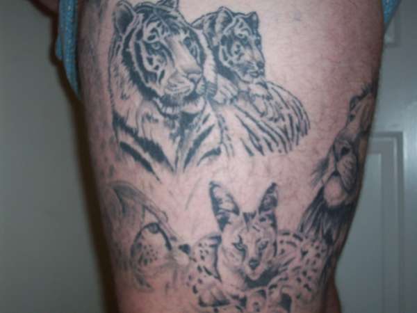 Big cat leg 2 tattoo