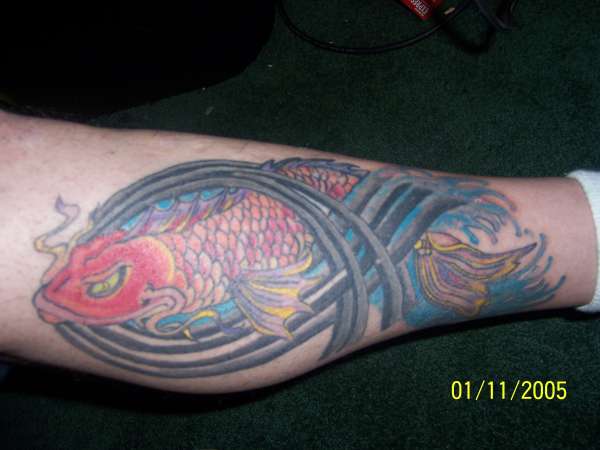 Koi update tattoo