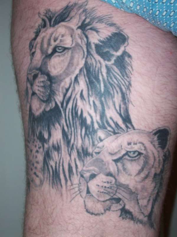 Lion and Lioness tattoo