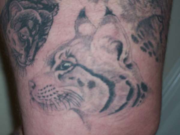 Lynx tattoo