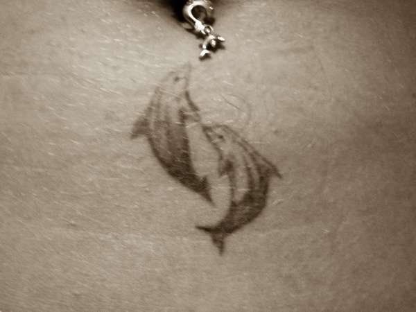 Dolphins on my belly! tattoo