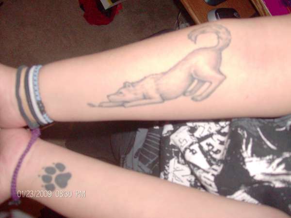 Wolfie and A paw tattoo