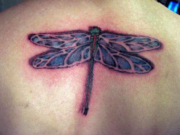 DRAGONFLY tattoo