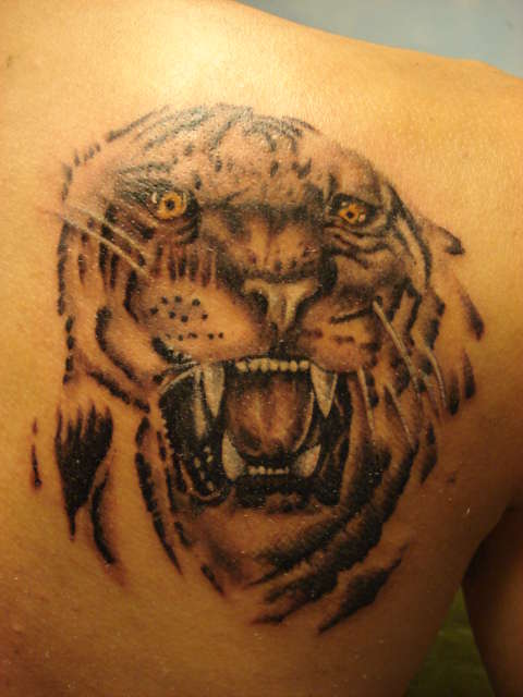 tiger tattoo