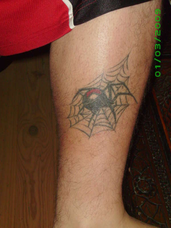 redback spider tattoo