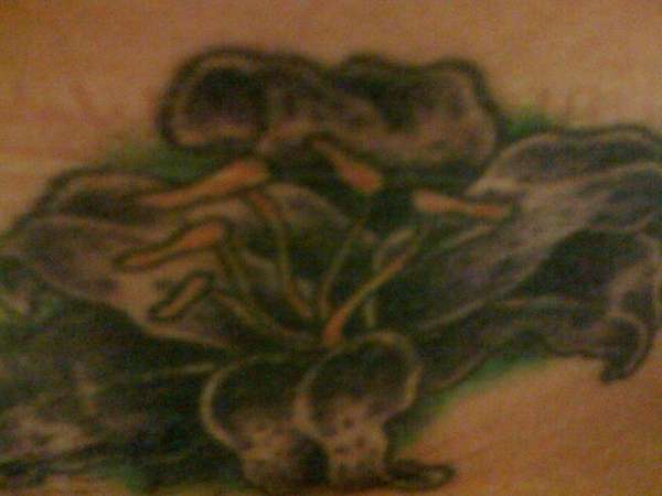 My Cover-Up Lily tattoo