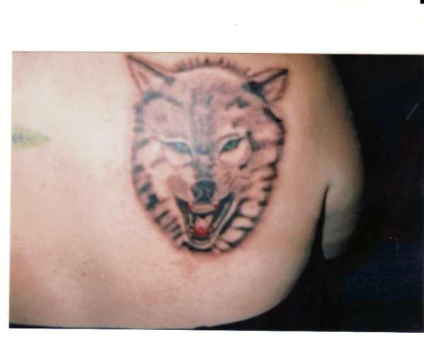 wolf tattoo