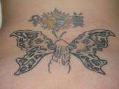 My butterfly bitches! tattoo