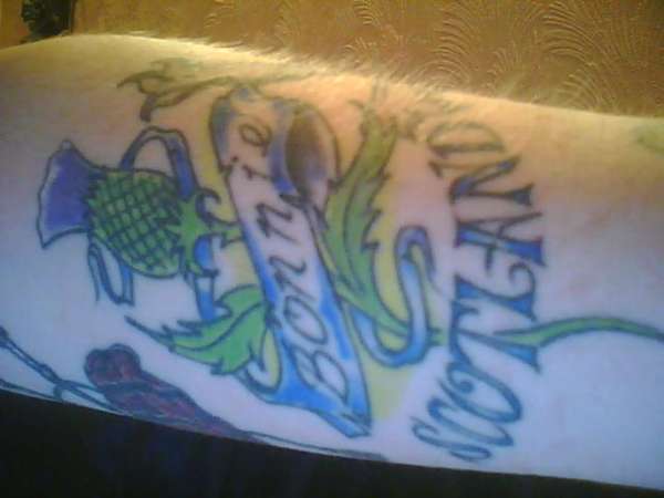 Thistle tattoo