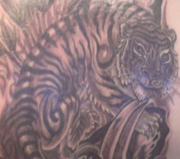 tiger 2 tattoo