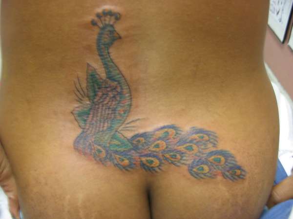 my back tattoo tattoo