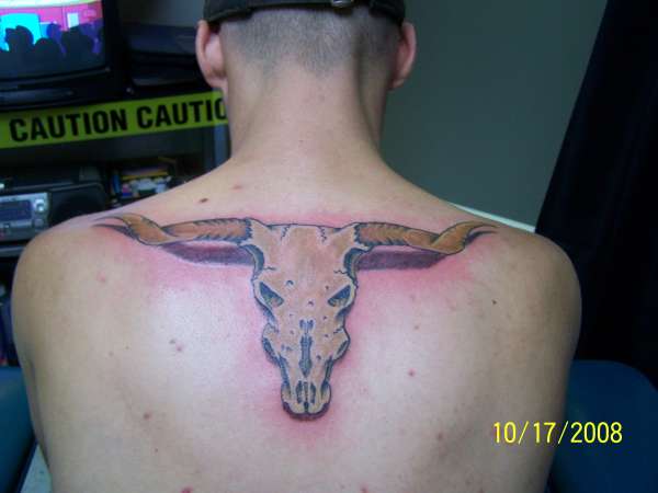 Longhorn tattoo