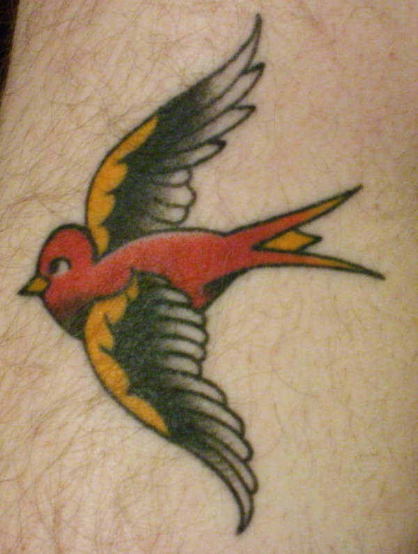 A little birdy told me tattoo