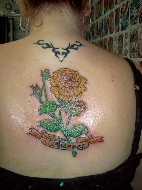 Rose tattoo