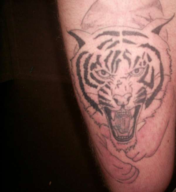 TIGER LEG tattoo