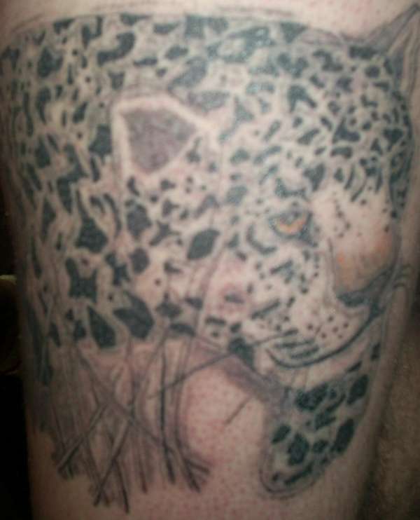 leopard tattoo