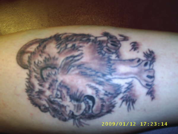 My Lion on the ankle tattoo