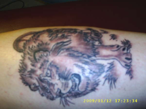 Same Lion on my ankle tattoo