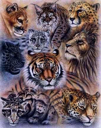 Tigers! tattoo