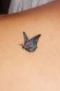 butterfly tattoo