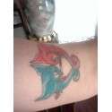 Birds tattoo