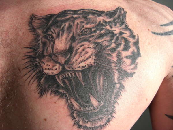 TIGER CHEST PIECE tattoo