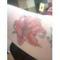 lily tattoo