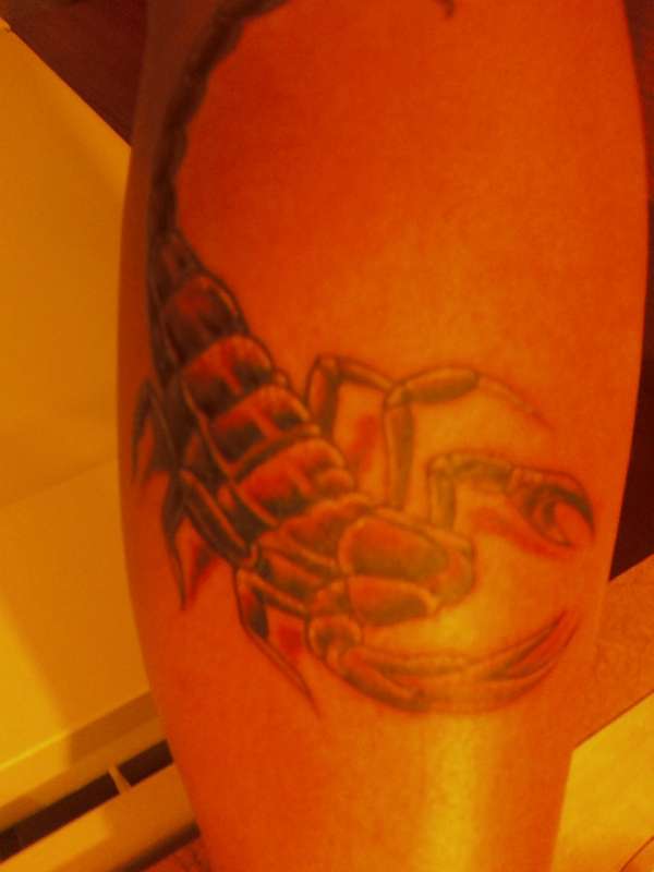 Scorpion tattoo