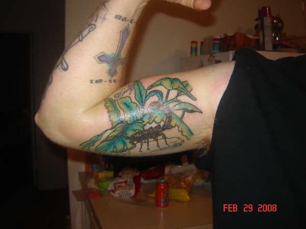 Scorpion with jungle background tattoo