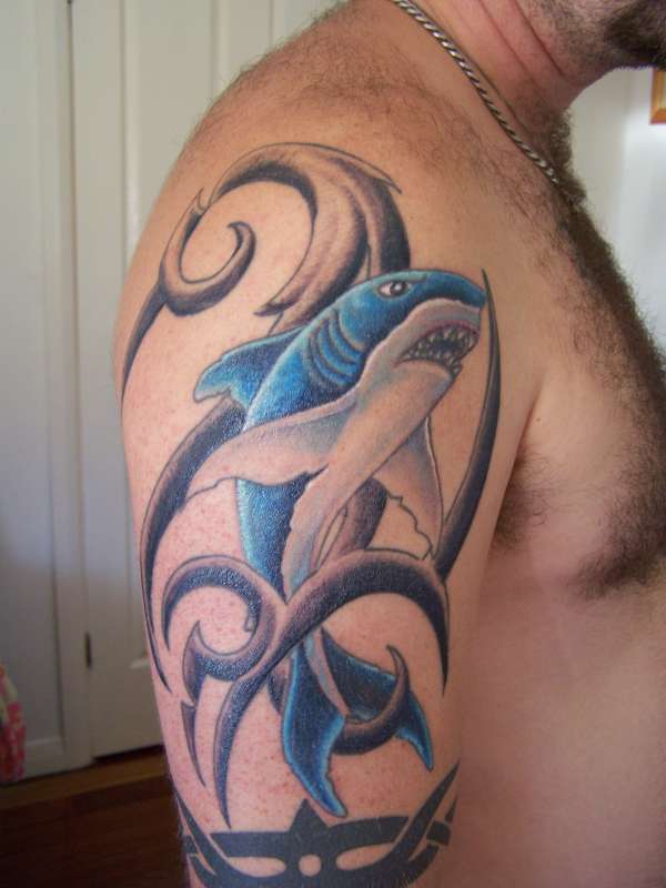 shark with color tattoo