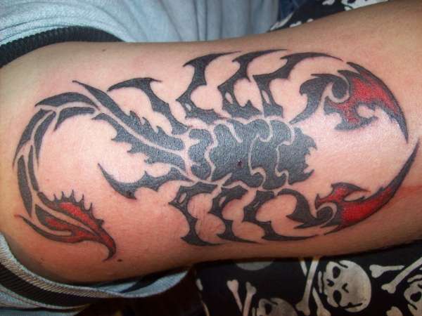 scorpion tattoo