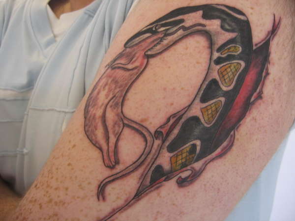 snake eating rat tattoo
