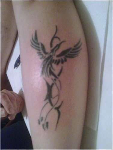 pheniox on calf tattoo