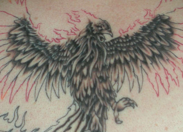 Phoenix tattoo