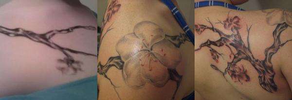 complete cherry tree piece tattoo