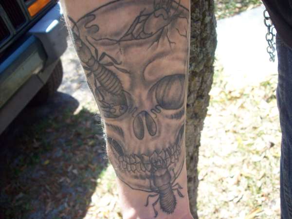 skull and termites tattoo