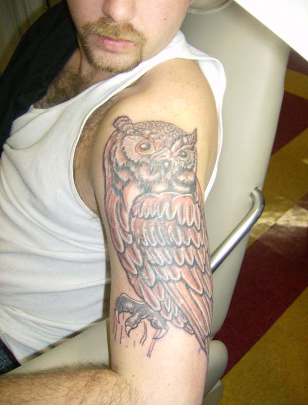 David's Owl tattoo