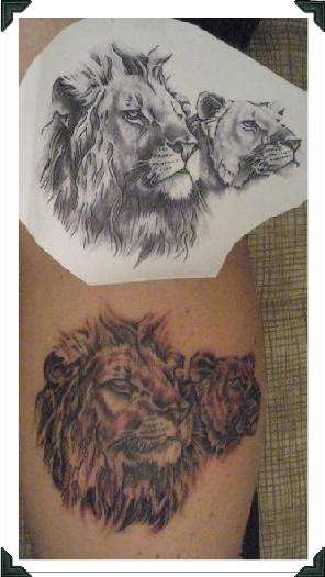 LION and LIONESS tattoo
