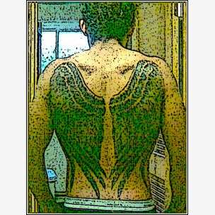 wings edit 2 tattoo